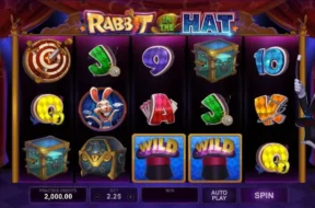 rabbit in the hat img