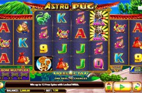 astro-pug-img