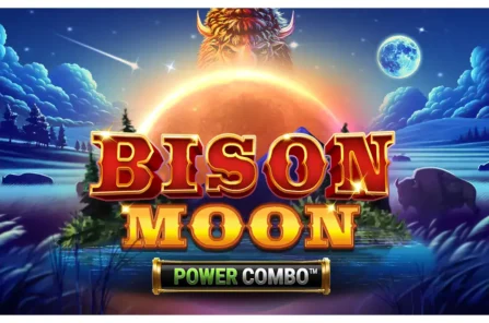 Bison Moon Power Combo slot cover