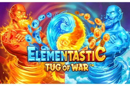 Elementastic Tug of War slot cover