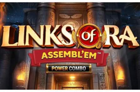 Links of Ra ASSEMBL'EM POWER COMBO slot cover