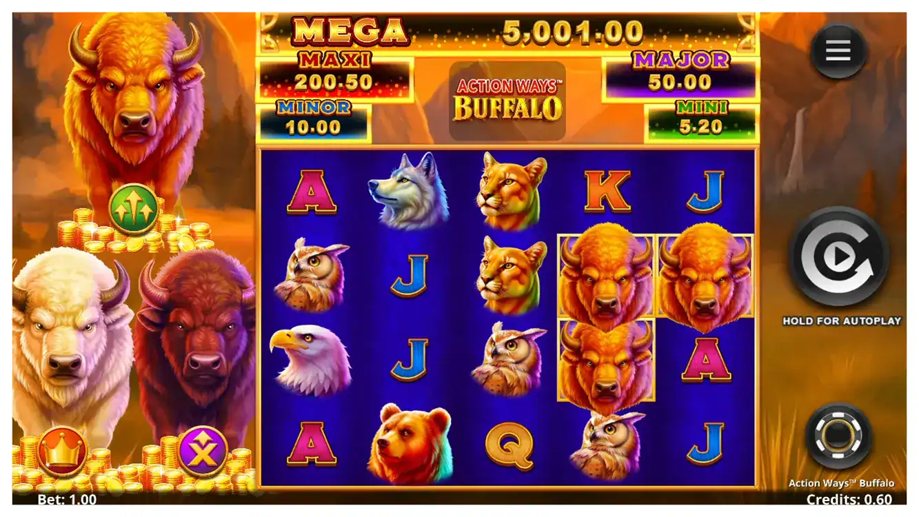 Action Ways Buffalo s1